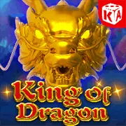 Hỗ trợ kỹ thuật và tải ứng dụng 99ok3